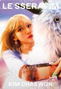 BANDAI 隨機卡 N-01