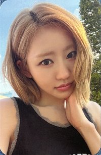 224 ms 台北 抽選卡 中簽卡