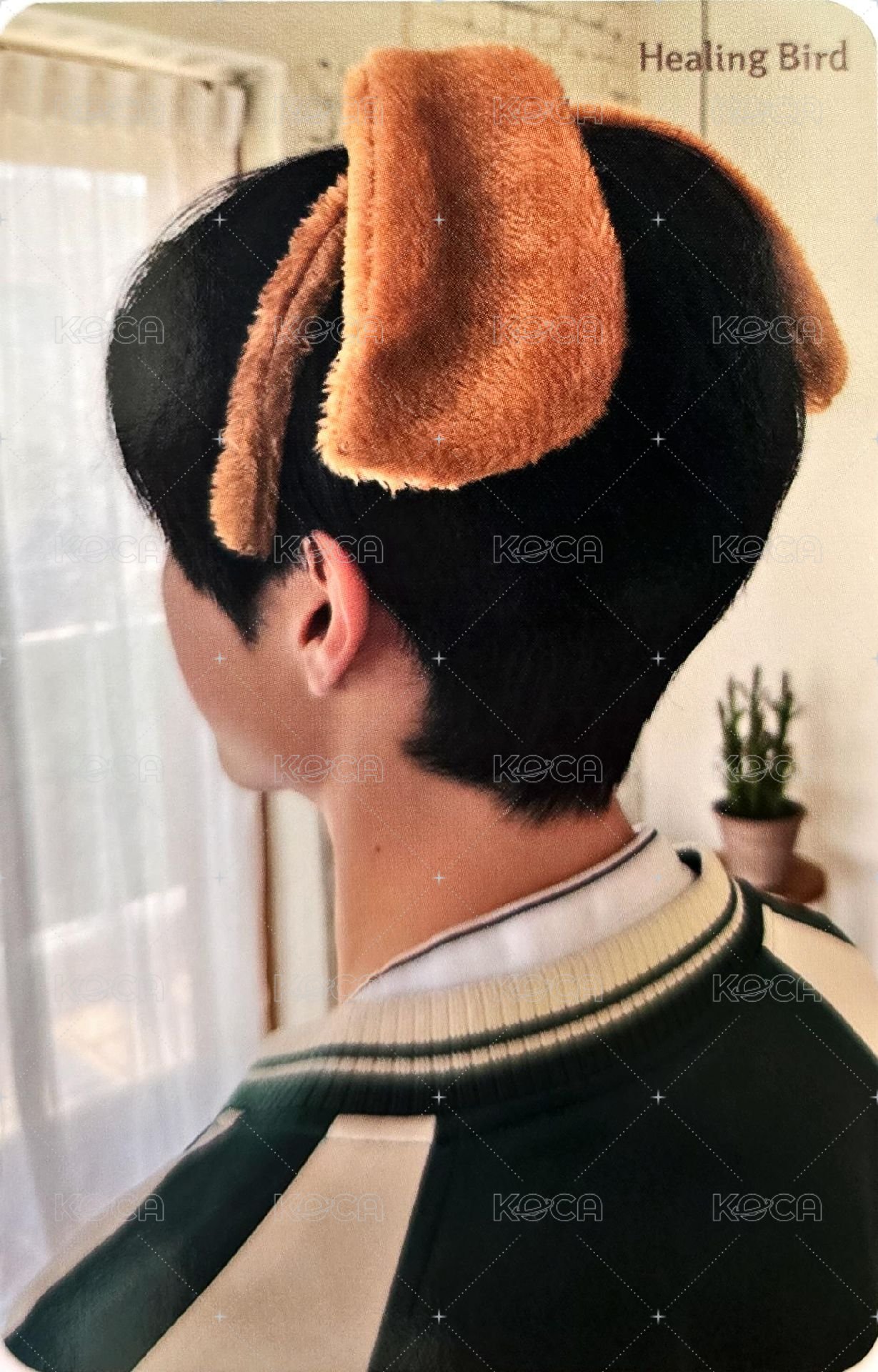 Healing Bird 代言卡 2.0 背面