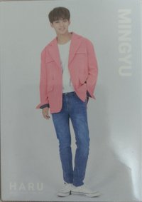 HARU 隨機卡 