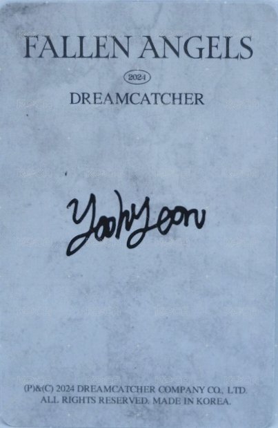 FALLEN ANGELS 周邊卡  背面