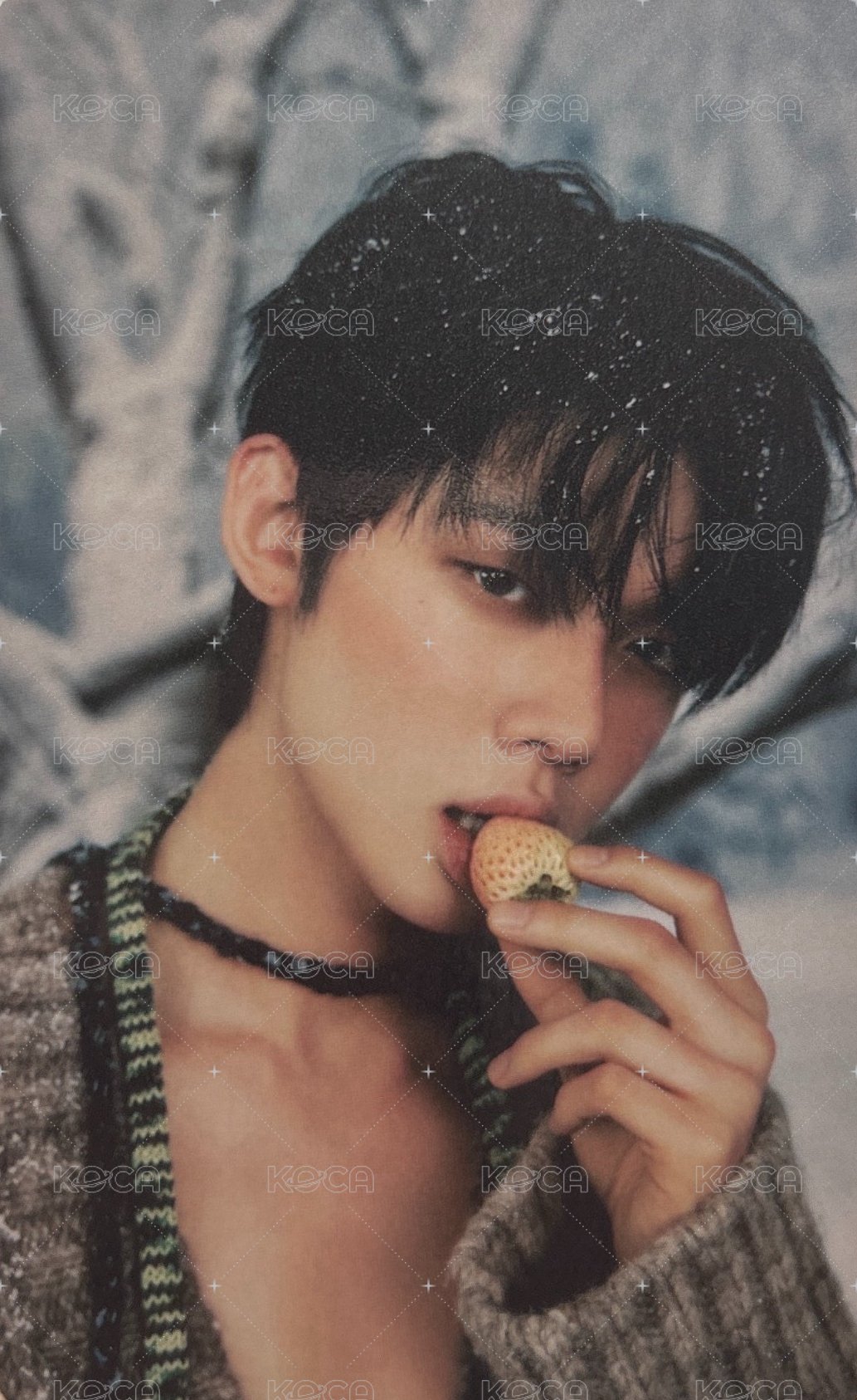 CHIKAI 誓い 塔店 特典卡  正面