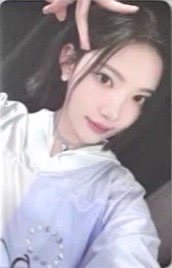 單一 wvs 特典卡 