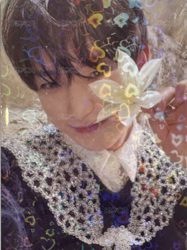 迷五 日咖 特典卡  正面