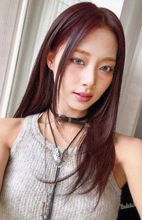 JP正規六 專輯卡 通常盤