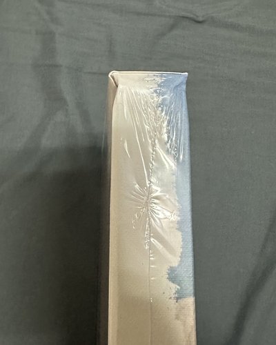 SULLYOON未拆油畫專