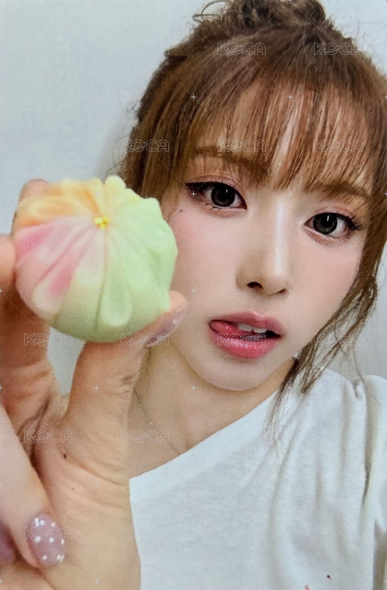 FORWARD sw 11.0 簽售卡 曲奇餅乾 正面