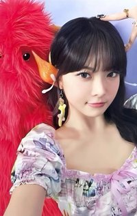 CRAZY JP 隨機卡 