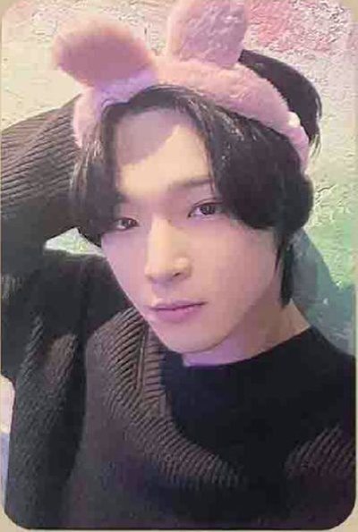 MALUS DMM 8.0 LD MAIN.ver