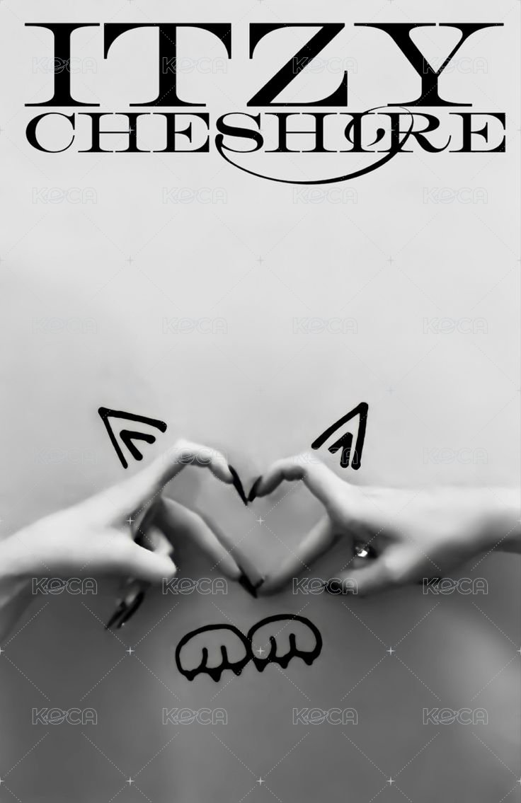 CHESHIRE 專輯卡 雙人卡 背面