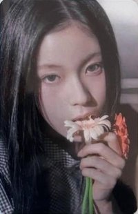 正規一快閃 el 周邊卡 帽子卡