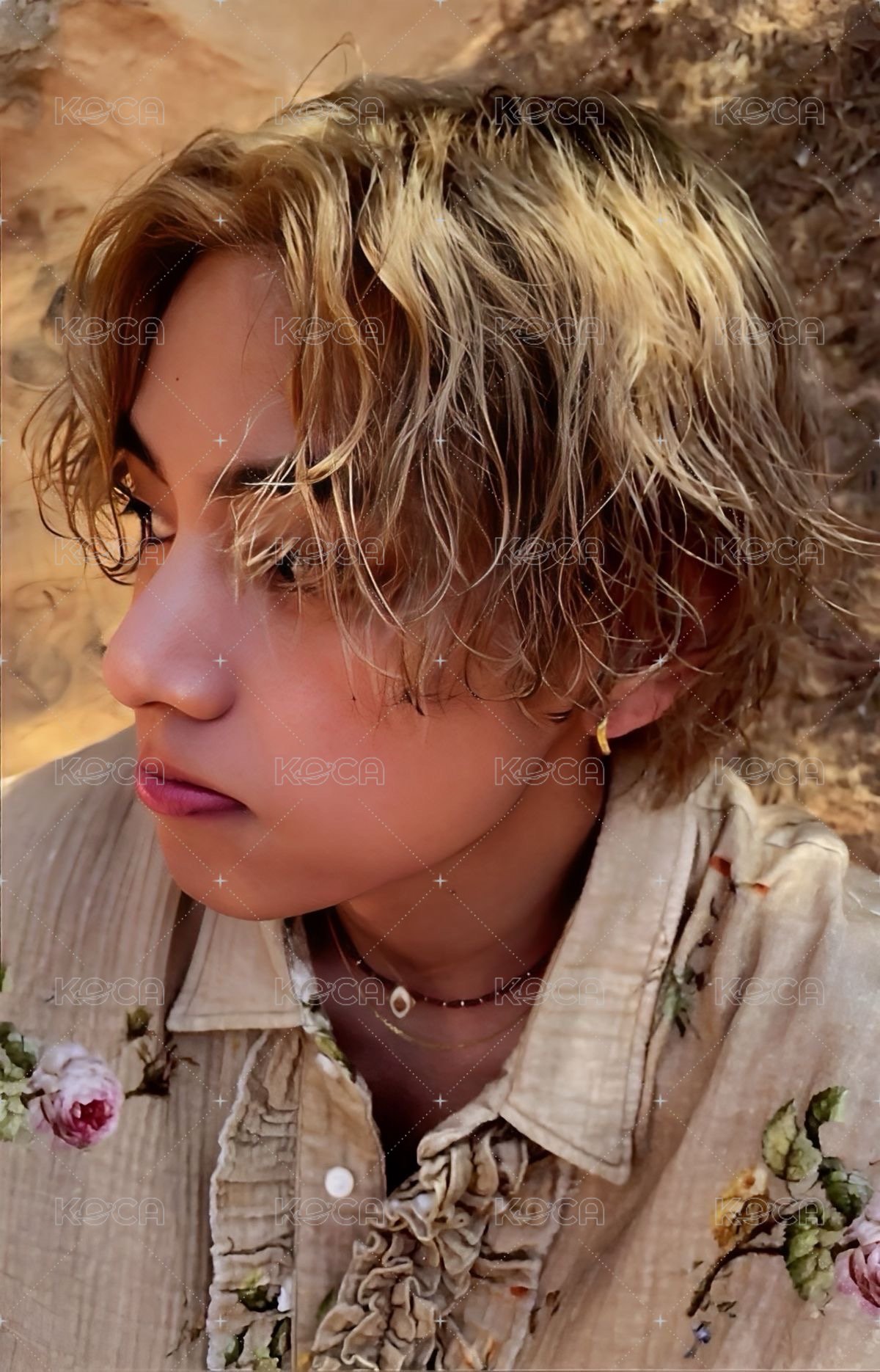 LAYOVER 專輯卡 藍版 正面