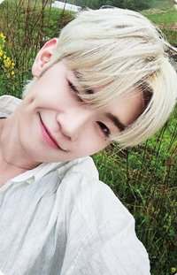 正規一 全通路 單封 特典卡 SPECIAL 預售