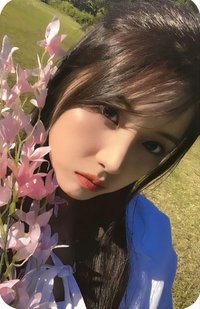 expérgo sw 預售 特典卡 