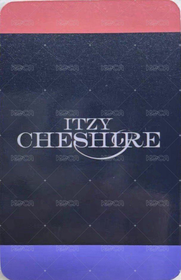 CHESHIRE sw 4.0 簽售卡  背面