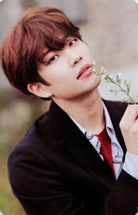 夢二 專輯卡 Wind ver.