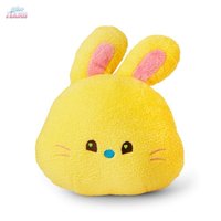 LINE FRIENDS快閃 抱枕 