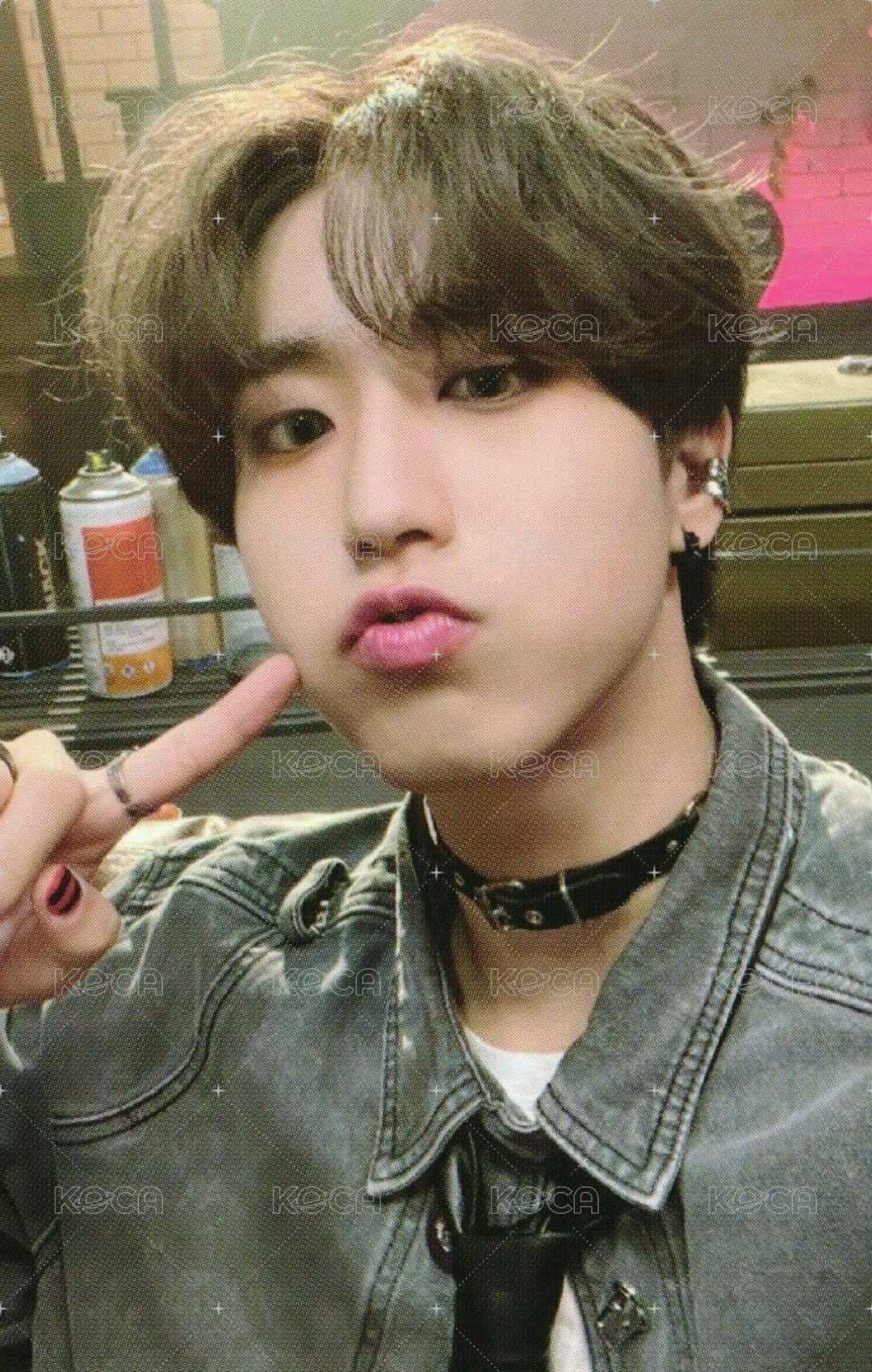 MAXIDENT am 特典卡  正面