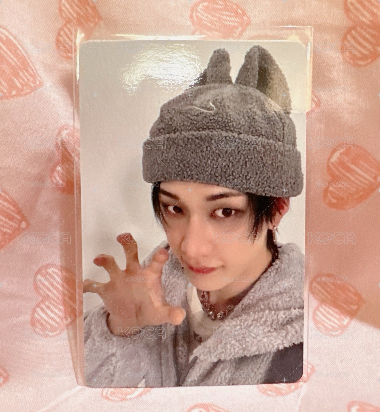 塔店限定特典 燦尼🐺