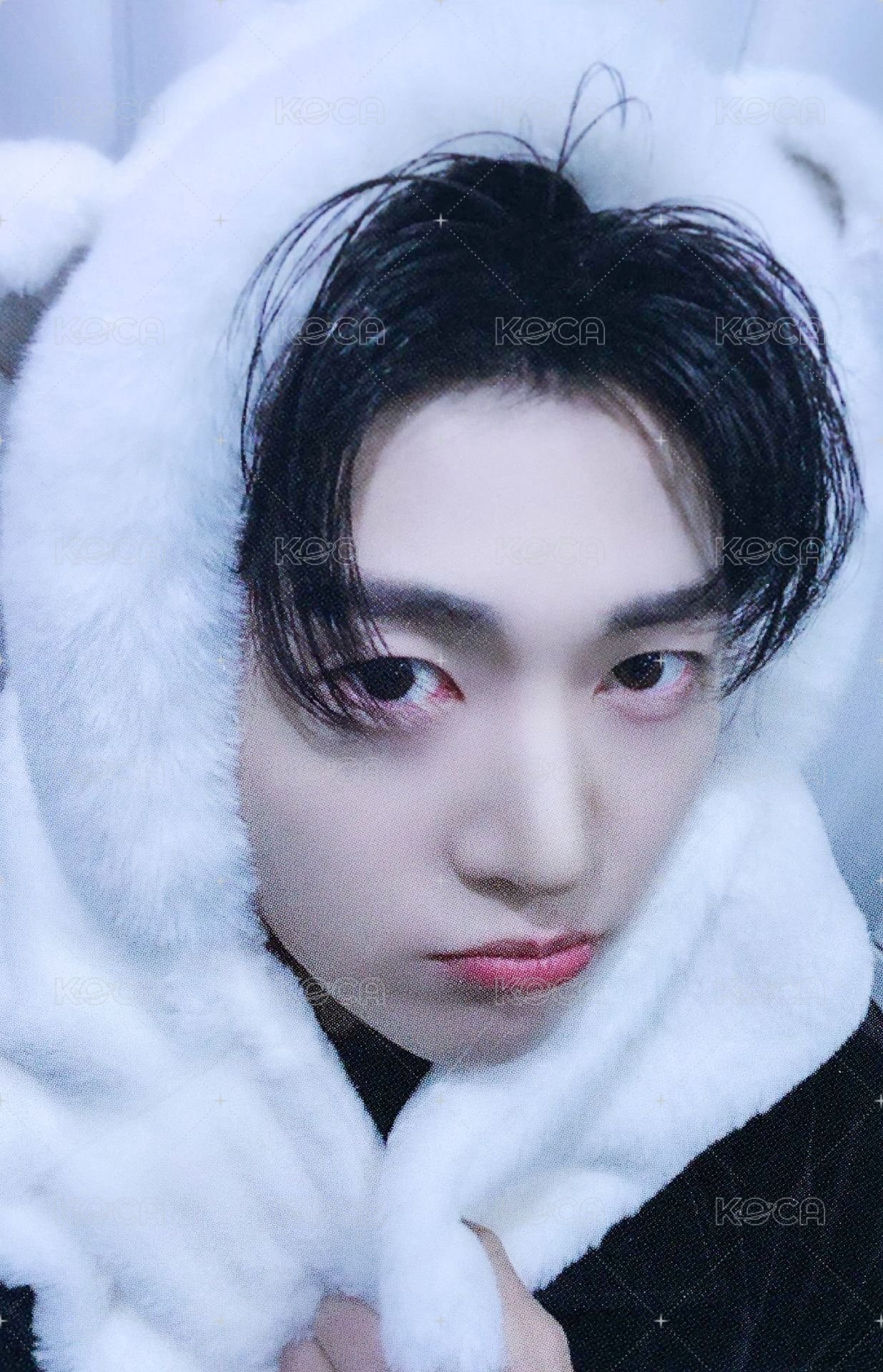 迷五 am 6.0 簽售卡 小熊帽子 ver. 正面