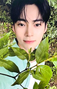 芭蘭歌林 代言卡 1.0