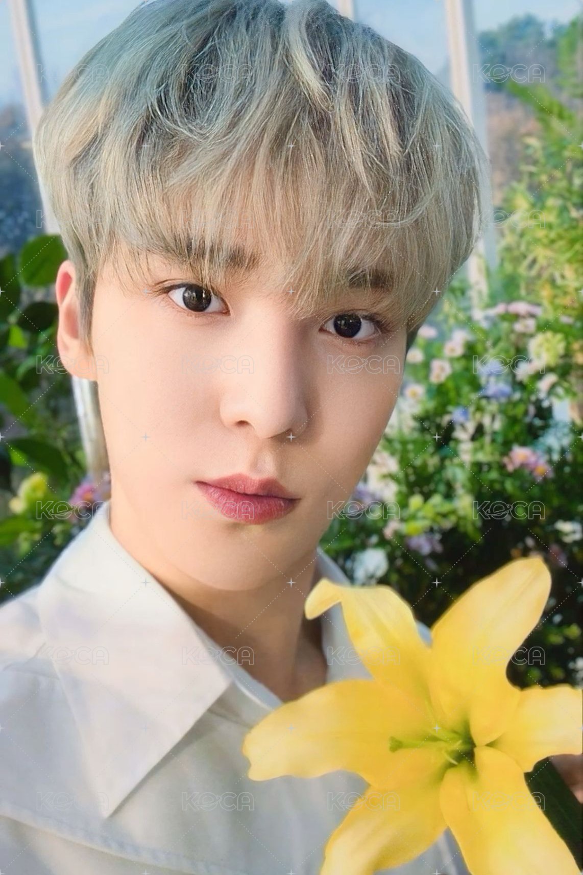 NACIFIC 代言卡 1.0 正面