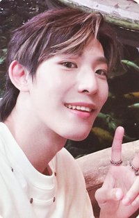 NEVER BEEN 隨機卡 