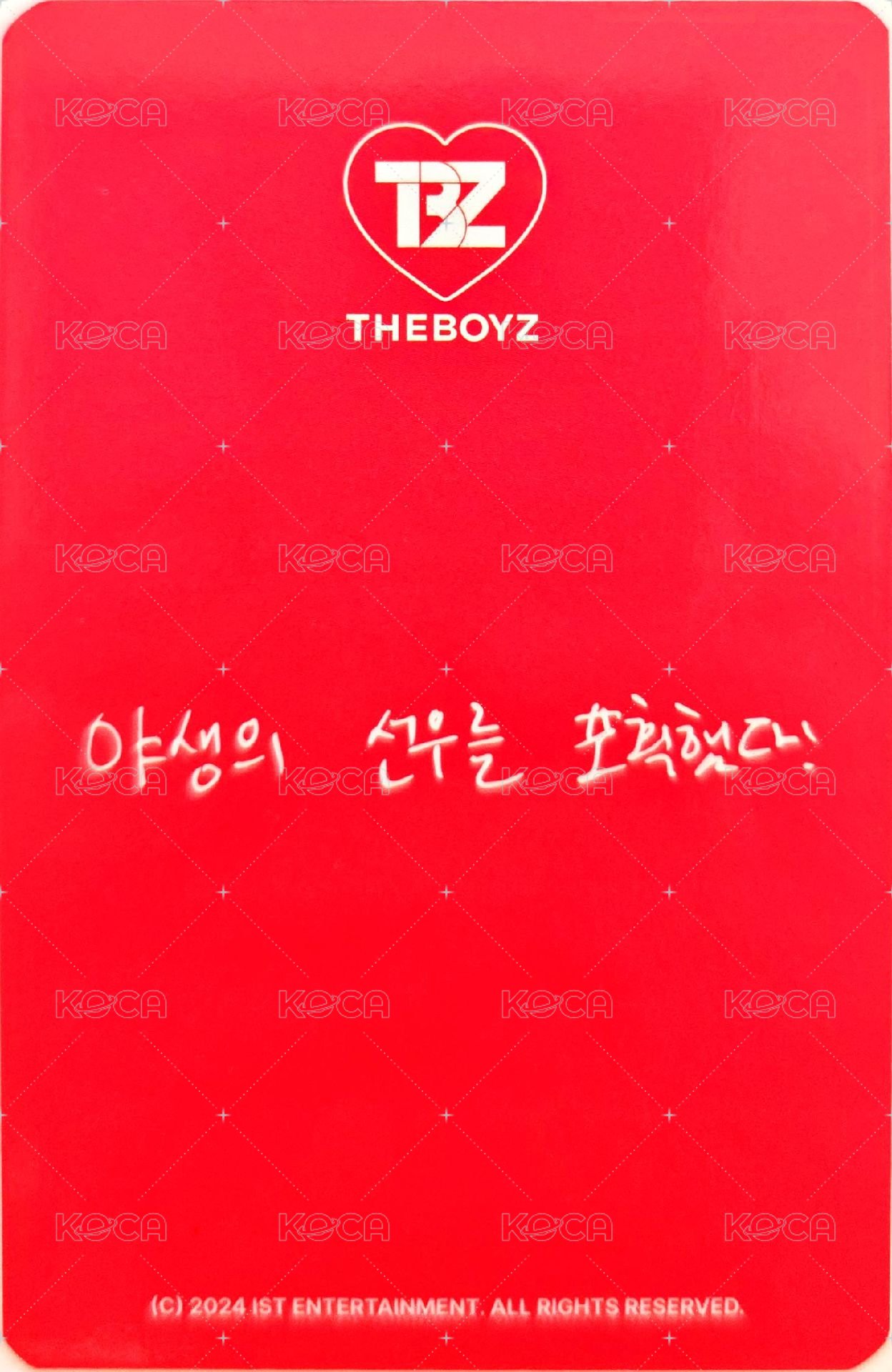 THE BOYZ WORLD TOUR : ZENERATION Ⅱ 周邊卡 娃娃小卡套 背面