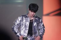 找不到口袋的貓