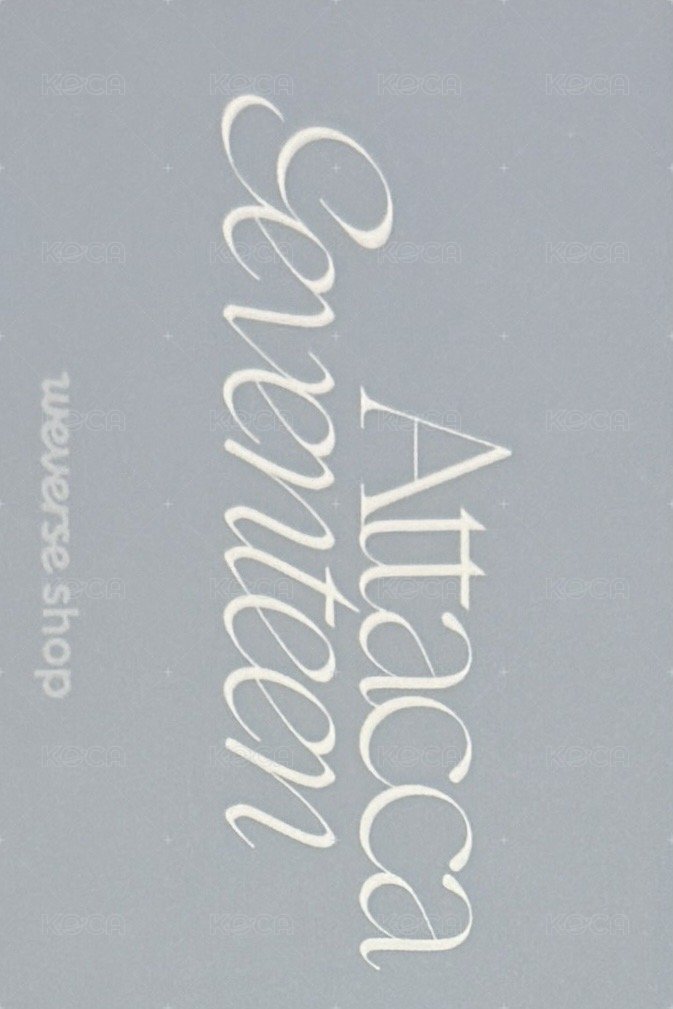 MINI9 wvs PB ver 特典卡  背面