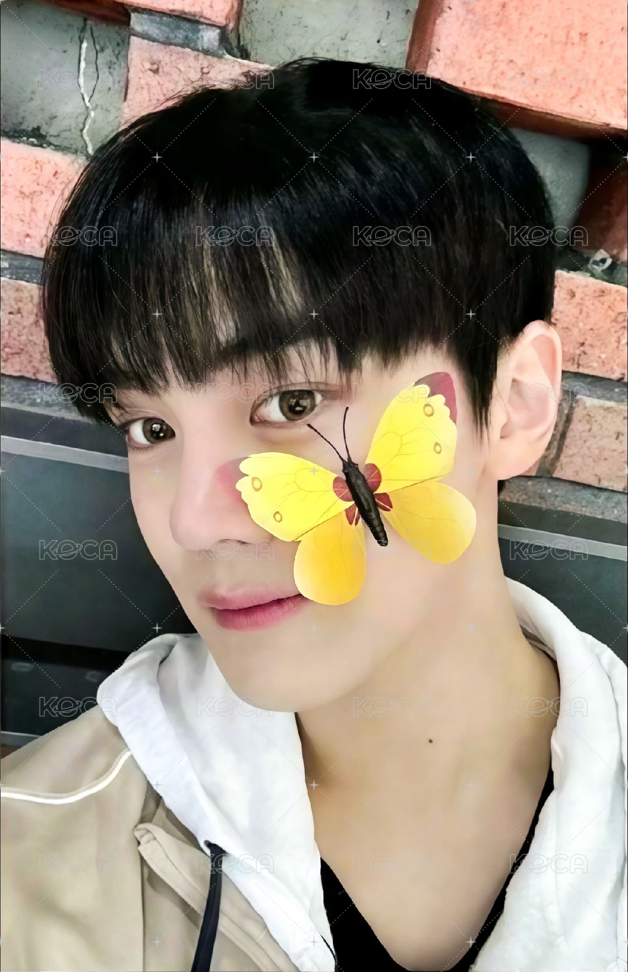 迷三 ms 4.0 幸運卡 蝴蝶 ver. 正面