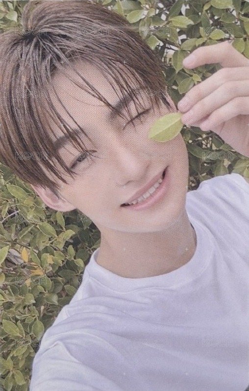 SUMMER BEAT! 專輯卡 NOW ver. 正面