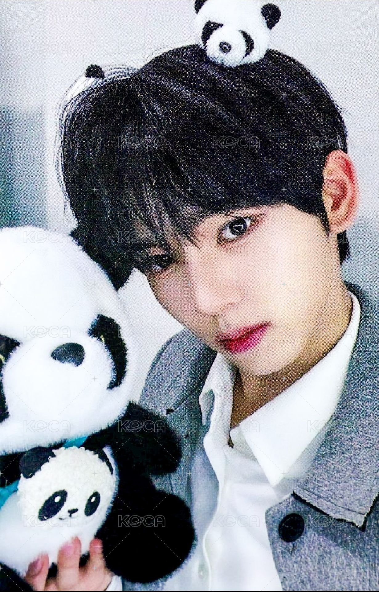 迷三 am 特典卡 熊貓 ver. 正面