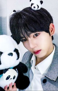 迷三 am 特典卡 熊貓 ver.