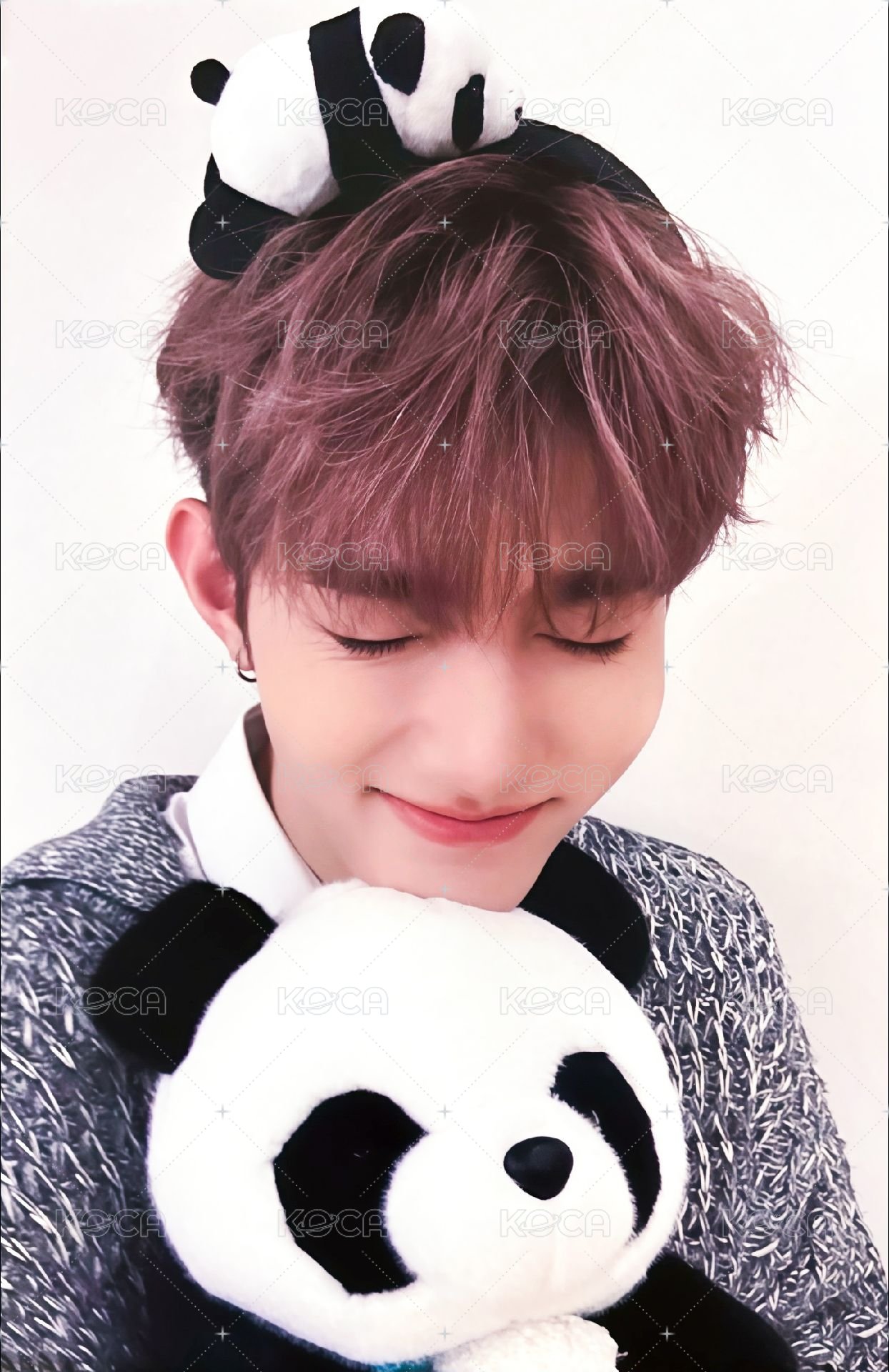 迷三 am 特典卡 熊貓 ver. 正面