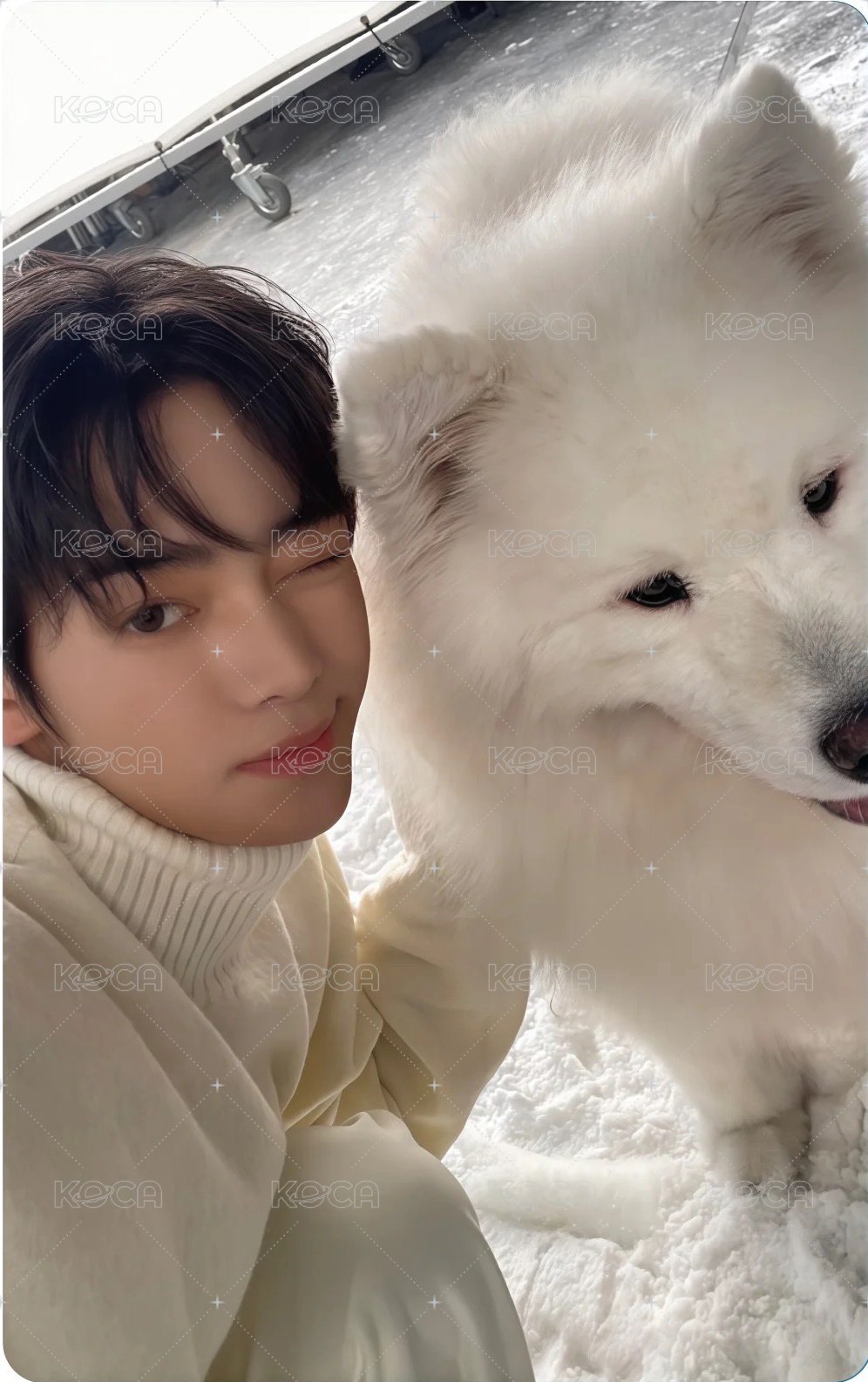 Last Bell 日咖 單封 特典卡  正面