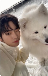 Last Bell 日咖 單封 特典卡 