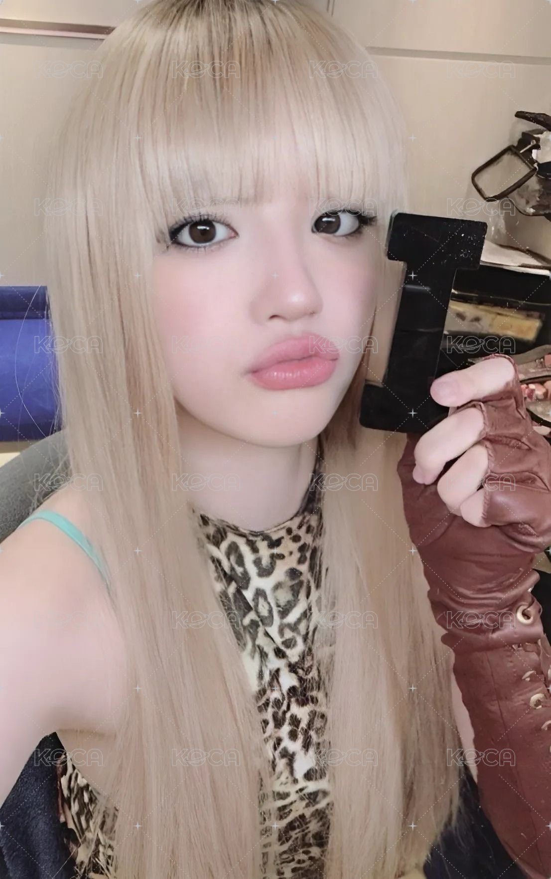 We are wvs 特典卡 1.0預售 正面