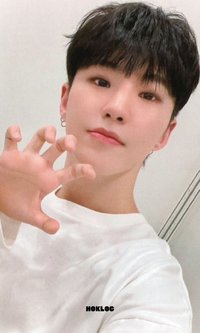 MINI11 環球 感謝祭1.0 特典卡 