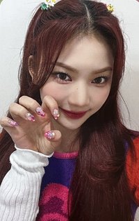 Teddy Bear km蝦皮 特典卡 蝦皮莎