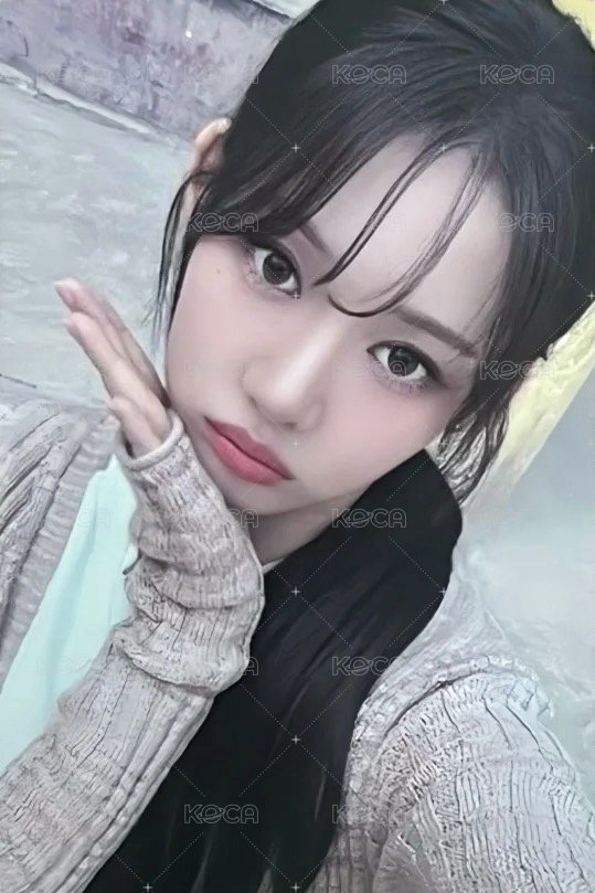 25’世巡 wvs 拼圖 周邊卡  正面