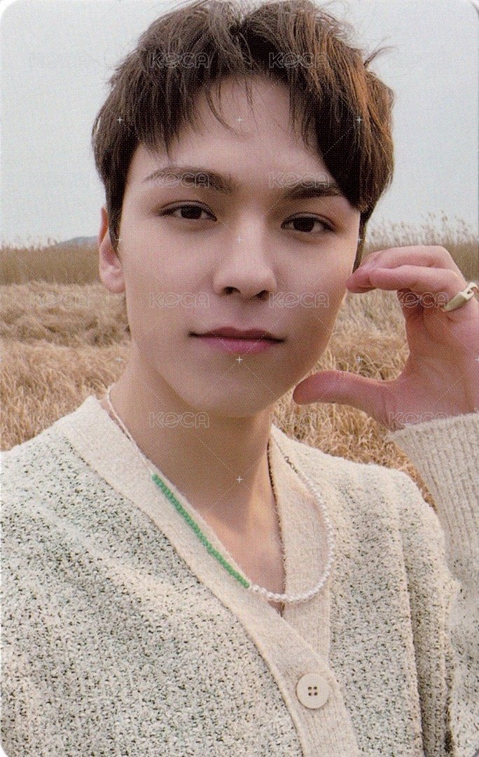 正四 專輯卡 正規四｜WVS電子專ver. 正面