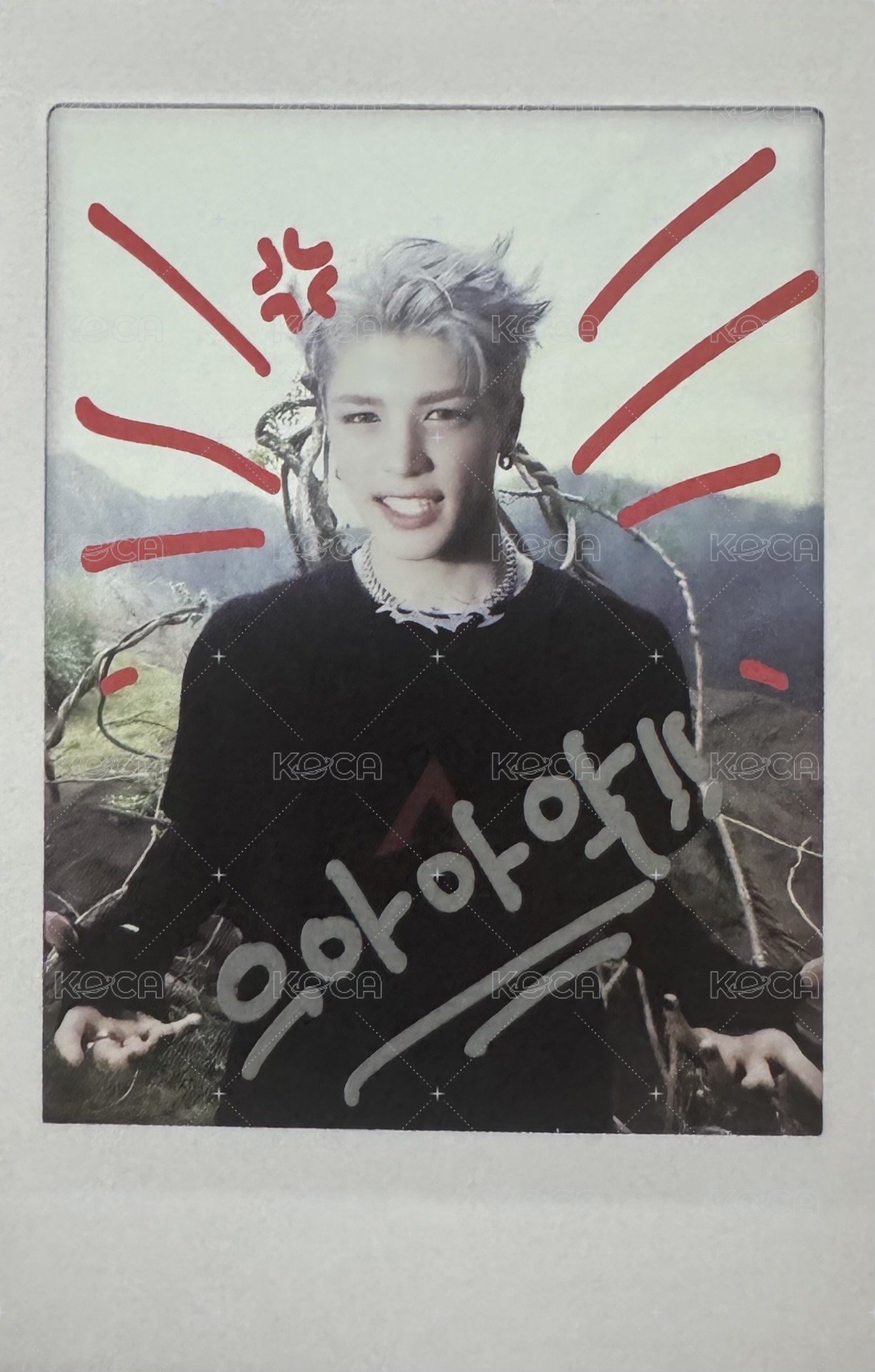 BTL 專輯卡 WVS Albums ver.拍立得 正面