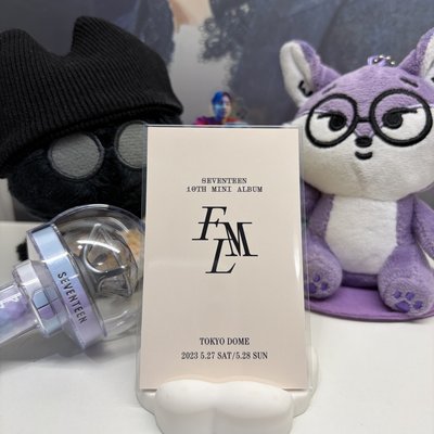 🍕碩珉DK｜MINI10｜入場卡 / 場限卡｜環球東京場限