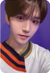 Songbird 專輯卡 Nct Wish Jaehee  Smini版 專卡