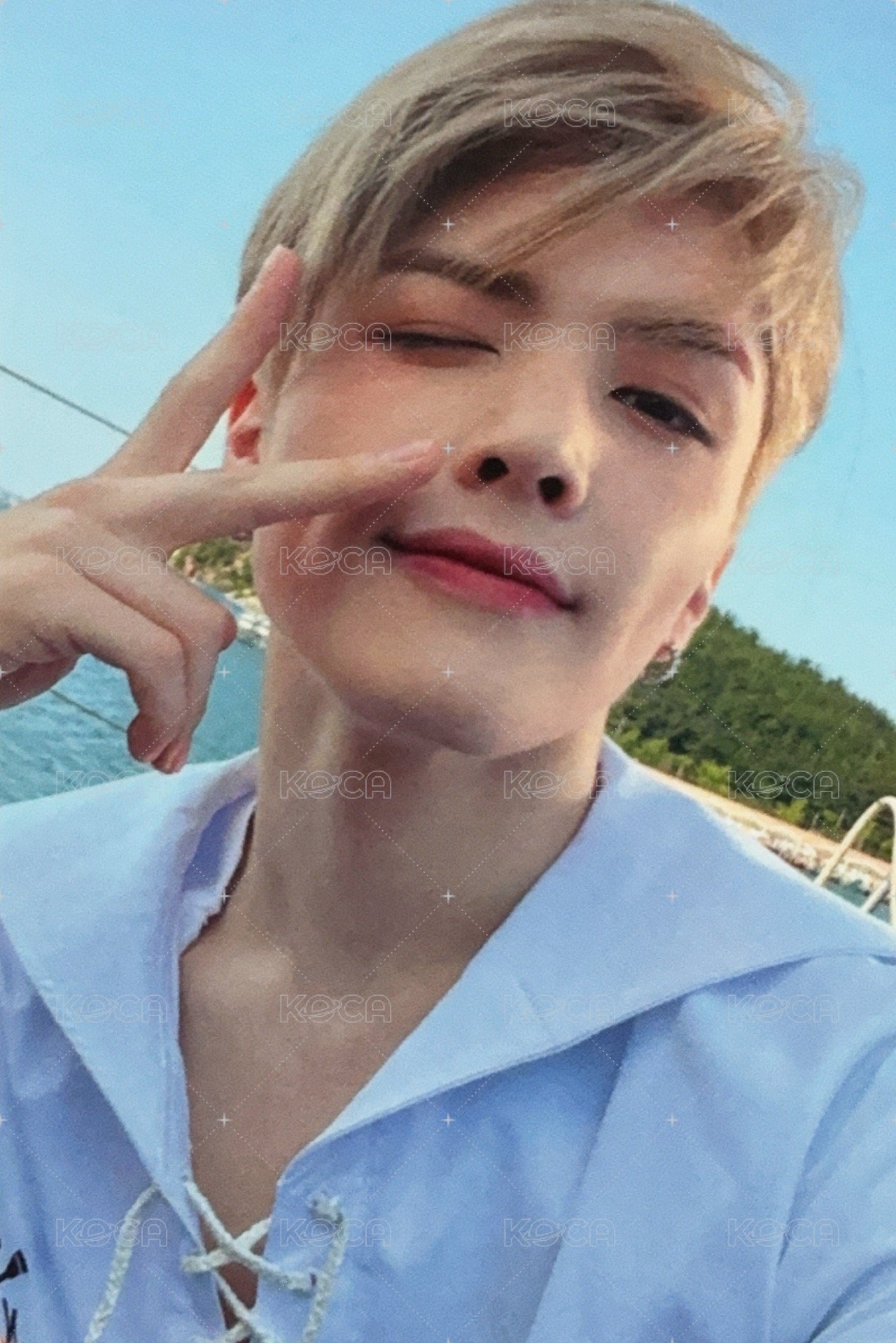 青嵐 (Aoarashi) 專輯卡 單封專卡D 正面