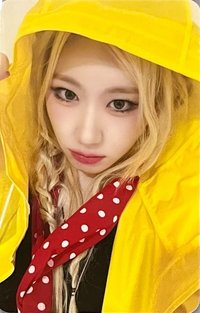 GOLD ms 6.0 簽售卡 雨衣