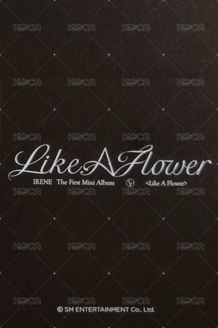 Like A Flower ms 簽售卡  背面