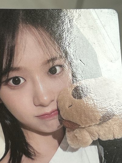 IVE yzy卡皮巴拉安（中文卡背）