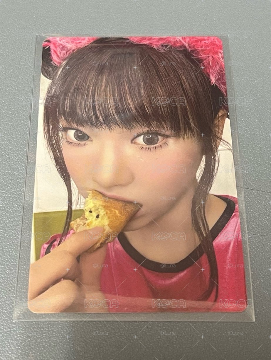 dvd 寧